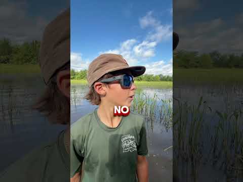 Responding to the comments...