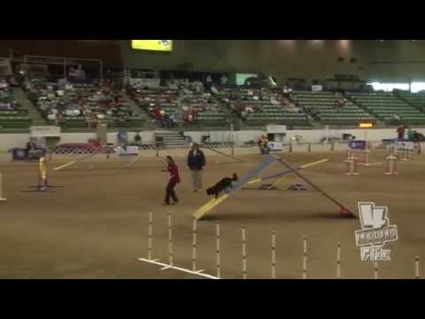 200628 FINALS AKCNAC2015