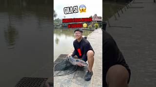 Download lagu MANCING DAPET IKAN TOMAN RAKSASA !! 😱#fishing #ikan #fish #mancing #videomancing #bigfish #toman mp3