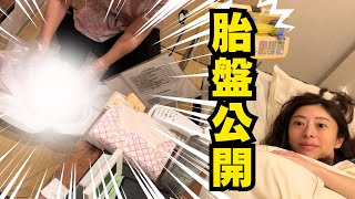 【出産入院レポ前編】帝王切開入院生活全て見せます！術後経過や貴重な胎盤映像も！？