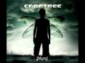 Carptree- Kicking and collecting 