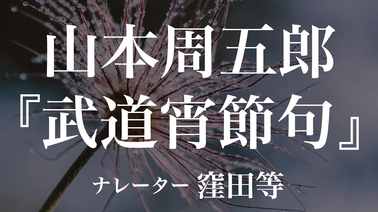 『武道宵節句』作：山本周五郎　朗読：窪田等　作業用BGMや睡眠導入 おやすみ前 教養にも 本好き 青空文庫