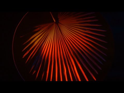 KUOKO - Cybercreeping (Official Visualizer)