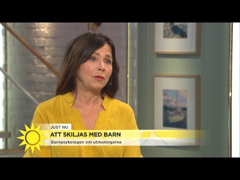 Att skiljas med barn: "Hyfsat god stämning hemma – skäl nog stanna kvar" - Nyhetsmorgon (TV4)