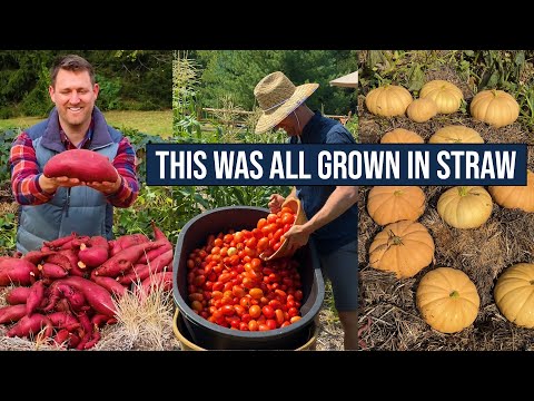 How to grow veggies in straw • Part 1: Conditioning your bales