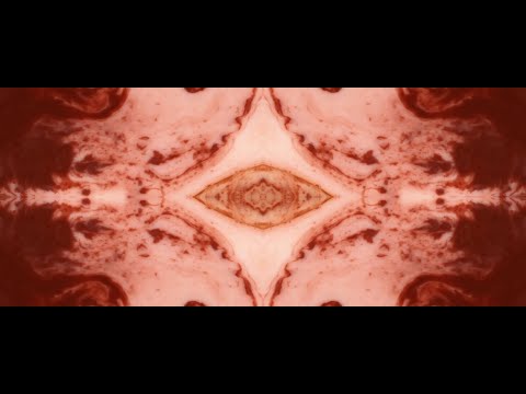 Il Mirmecologo — 예고편 (이탈리아어)