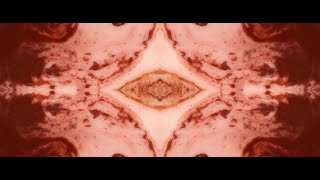Il Mirmecologo (The Myrmecologist) | TRAILER