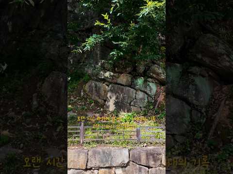 바위에 남은 선사시대의 기록, 고령 안화리 암각화 #고령군SNS기자단 박수진