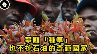 [問卦] 如果泰國真的大麻合法化 會瞬間變成強權?