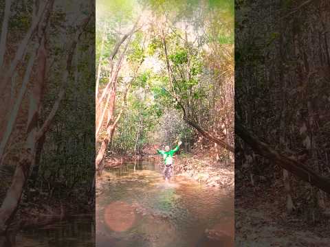 Córrego Cafundó Mossâmedes Goiás #bemviver