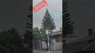 SAMOAN FLAG High on sky 🤩👌#samoa #auckland #samoajoe #polynesian @LaughingSamoans @KiwiTv