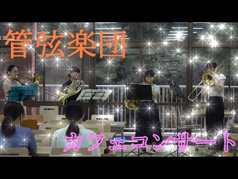 管弦楽団のカフェコンサートが開催されました♪【MUSB NEWS FLASH】