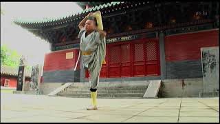 [請益] 問一部元華（包租公）用頭前翻的片