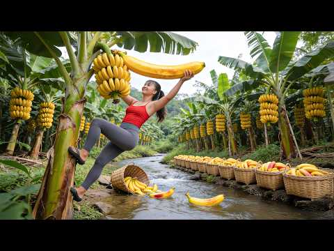 Cosecha de 1200KG de Plátanos 🍌 con Motocarro de 3 Ruedas | Transporte y Venta en el Mercado Rural