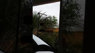 003 CBA LENDARIO 003 TEMPORADA 2017/2018