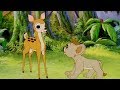 SIMBA KRÓL LEW Odcinek 1 Cała Bajka Dla Dzieci Po Polsku TOONS FOR KIDS PL