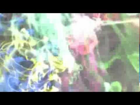 Skywalker - "LOST" (lyric video)