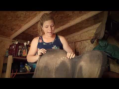 Review of Western Saddle Pads