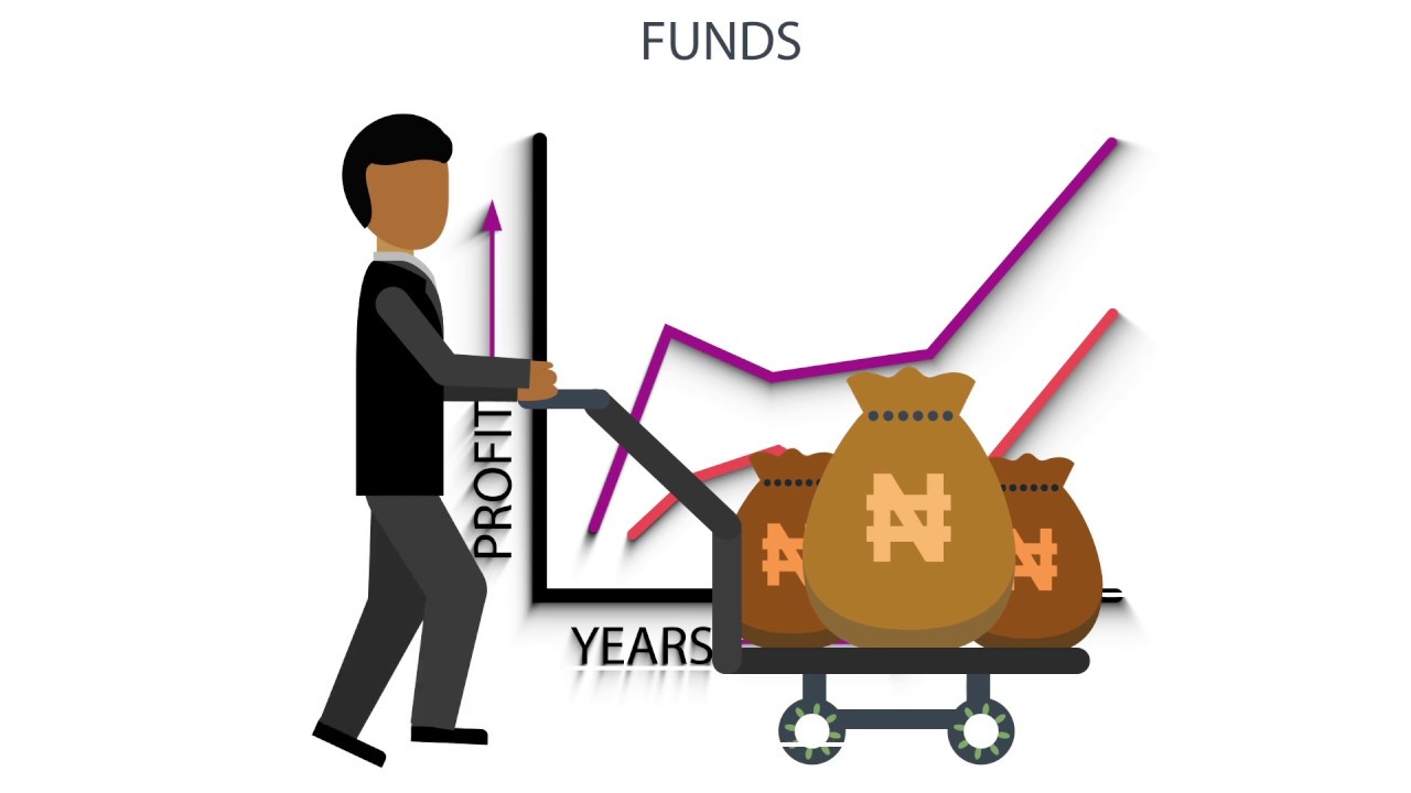 Biznurture (2D animations)