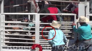 preview picture of video 'Bulls, Horses Shocked at Elgin Stampede Rodeo'