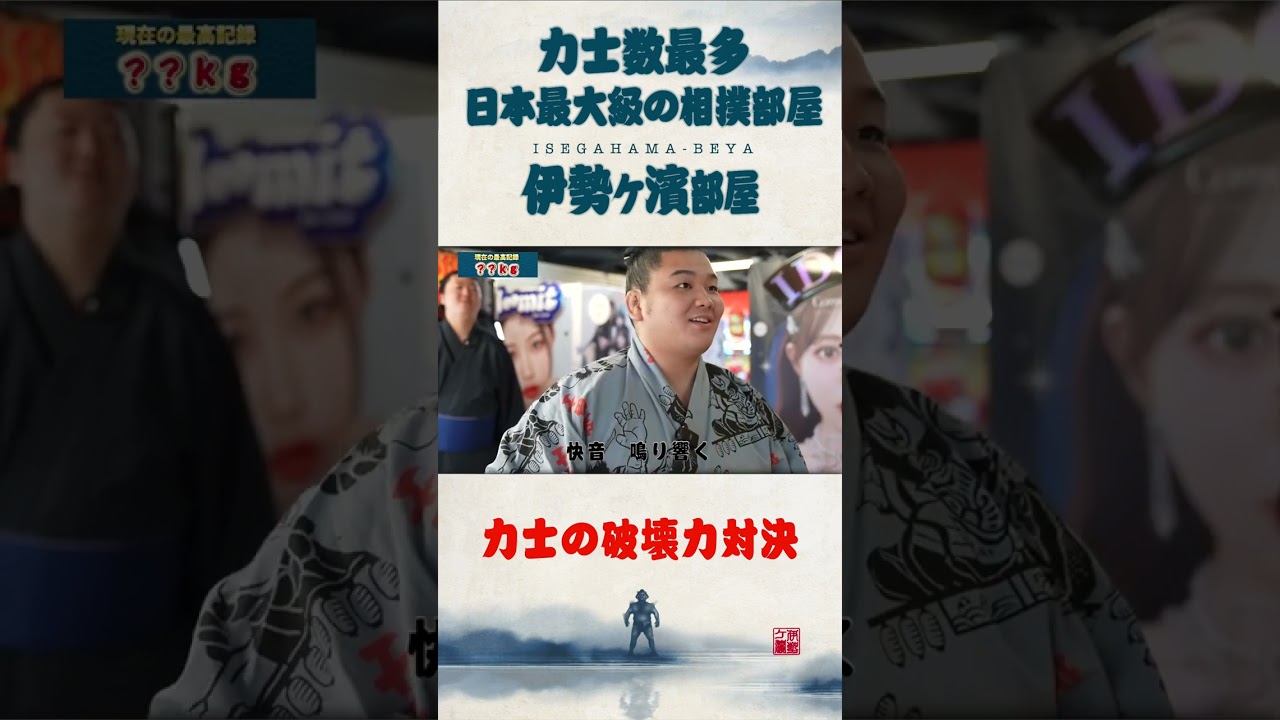 【検証】攻撃力No 1力士は誰だ！？超人的な打撃力👊パンチングマシーン