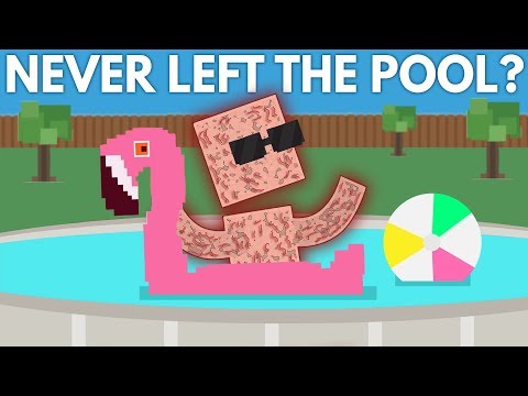 What If You Never Left The Pool? - YouTube