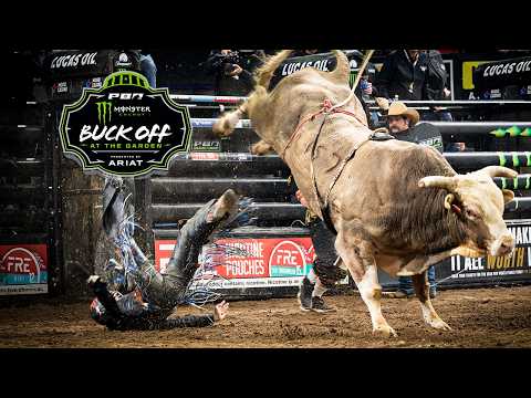 PBR Unleash the Beast 2026 New York City | Recap