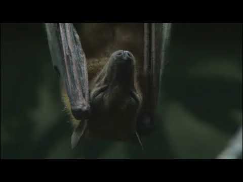 riposta prod.Kiełas