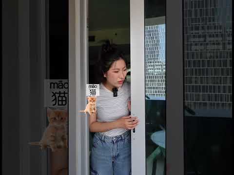 Learn Chinese Conversation