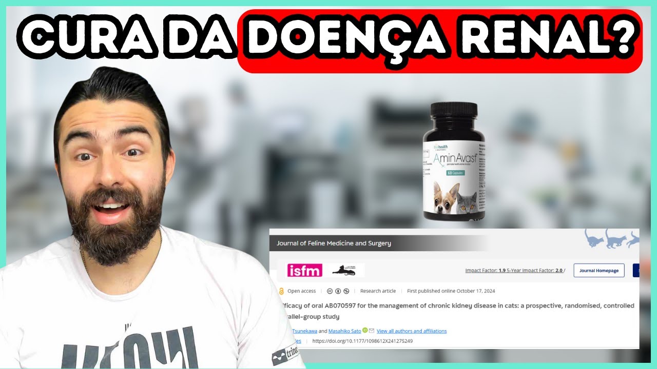 Novo Remédio PROMISSOR Para Tratar DOENÇA RENAL Em Gatos!