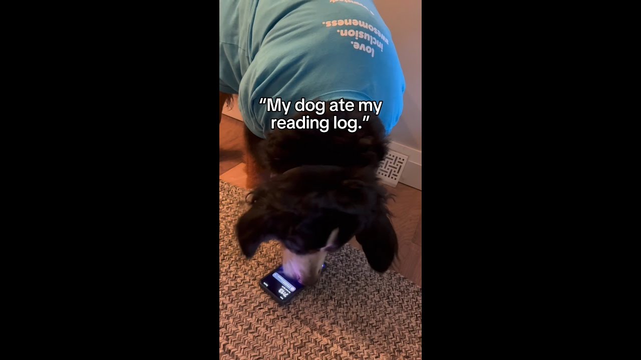 The oldest excuse in the book, but it's 2025... 🙃