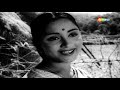 Mila Hai Kisi Ka Jhumka Parakh HD Video Classic Hit Song Lata Mangeshkar Evegreen Songs