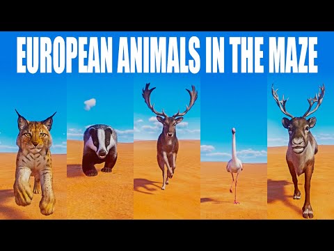 European Animals Speed Races in the Maze in Planet Zoo included European Badger,European Fallow Deer