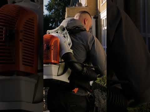 CS Gardens-  Montage 2