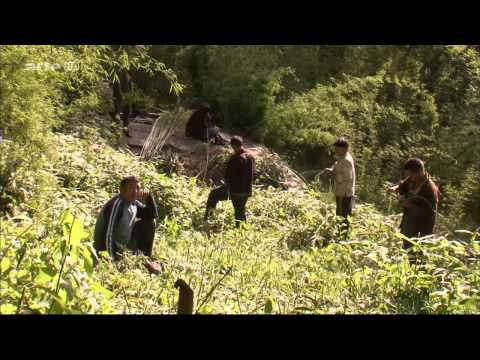 Extreme Landschaften - Leben am Limit - Himalaya Leben am Abgrund HD