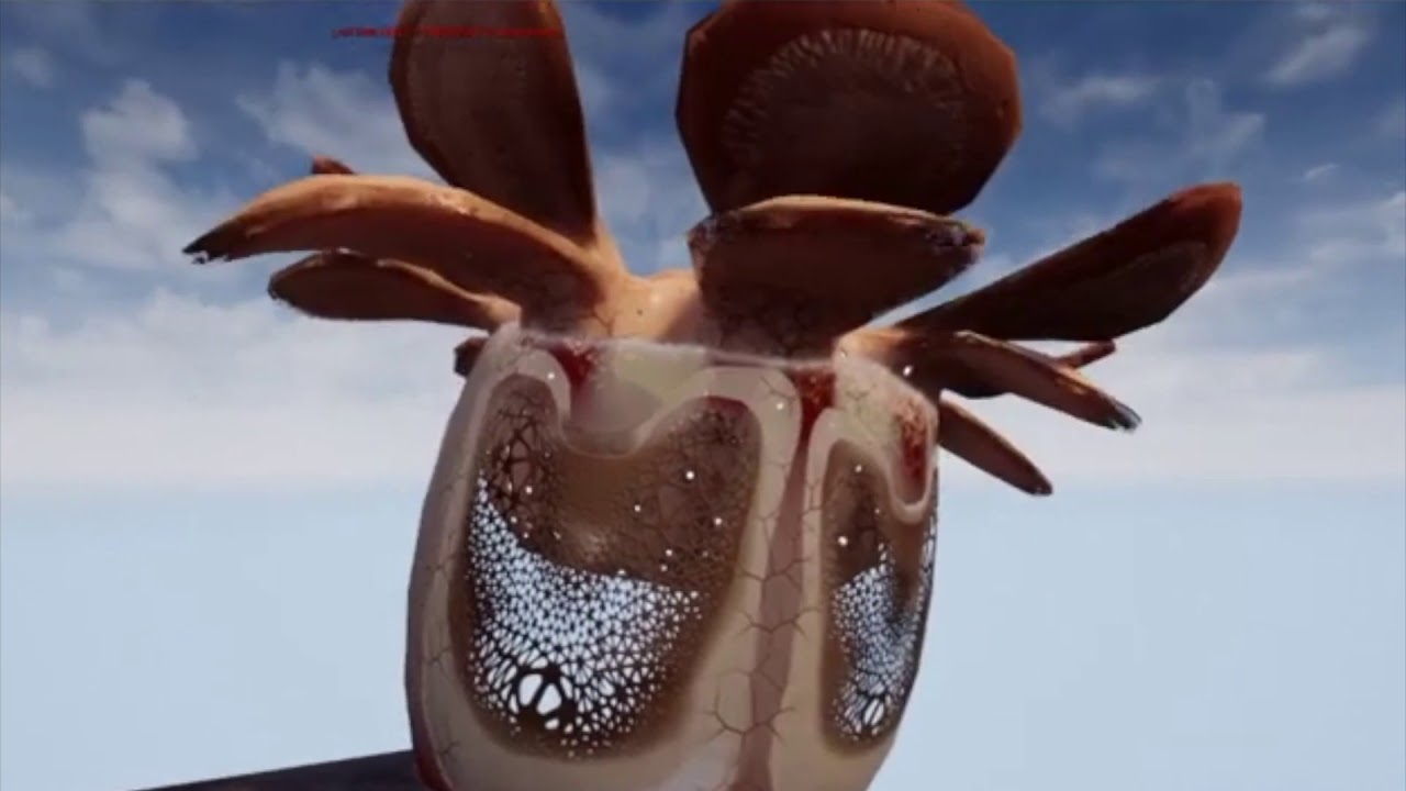 Virtual Sensory Interfaces Project