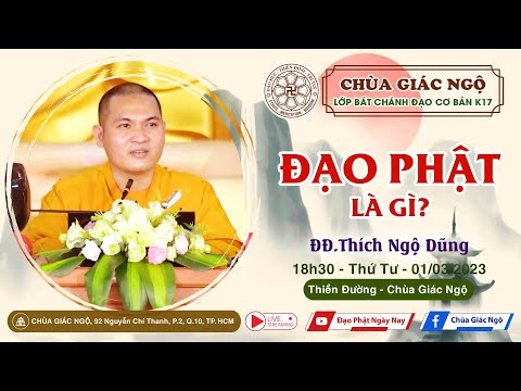 Đạo Phật là gì? ĐĐ. Thích Ngộ Dũng giảng lớp Bát chánh đạo cơ bản khóa XVII