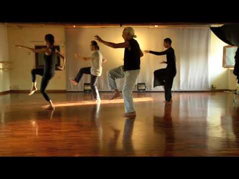 Soto and Molayo Tai Yi Swimming Dragon First Form