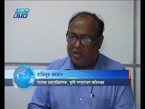 পাহাড়ি ঢলে হাওরে আগাম বন্যায় বোরো ফসল, অতিবৃষ্টিতে আউশ আর চলমান বন্যায় আমন ধানের ব্যাপক ক্ষতি