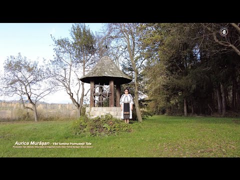 Aurica Murasan - Văd lumina frumusetii Tale