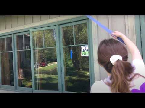 Butterfly Feeders | Science @ Home