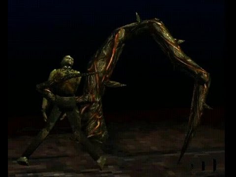 Koudelka Boss Patrick's Vine