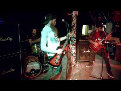 Genocidal Terror  - Digesting the Unborn LIVE