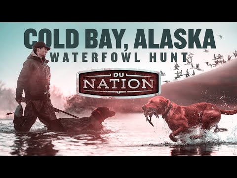 Alaska's Untamed Wilderness: Duck Hunting in Cold Bay | DU NATION