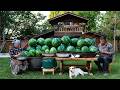 Homemade Watermelon Doshab | Summer’s Sweet Elixir