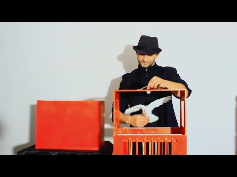 Secter Dove to Rabbit Magic Trick!