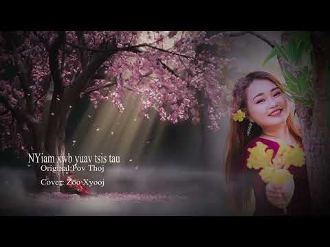 NYiam xwb yuav tsis tau Cover: zoo xyooj