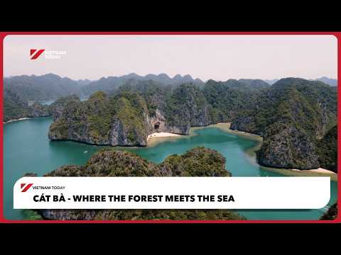 Cát Bà - Where the forest meets the sea | Vietnam Today