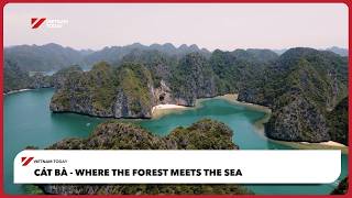 Cát Bà - Where the forest meets the sea | Vietnam Today