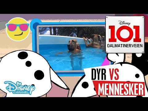 Dalmatinerveien 101 | Dyr vs Mennesker: Ferie 🏖- Disney Channel Norge